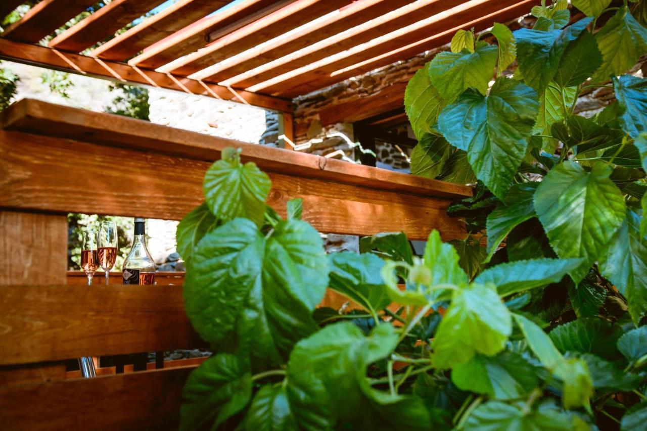 Traditional Apartments Elafos 엘라포니시 외부 사진